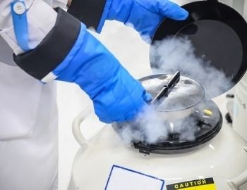 congelaci�n de �vulos