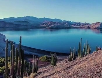 colecci�n de plantas des�rticas en metztitlan