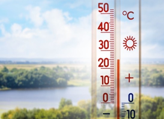 qu� es la can�cula