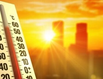 la can�cula y c�mo hacerle frente