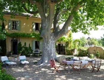 10 beneficios principales de los �rboles