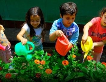 educaci�n ambiental