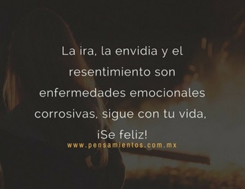 reflexi�n agresiones