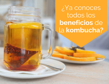 beneficios de la kombucha