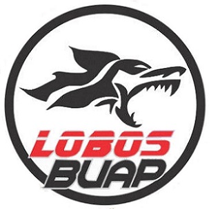 lobos de la baup a primera divisi�n