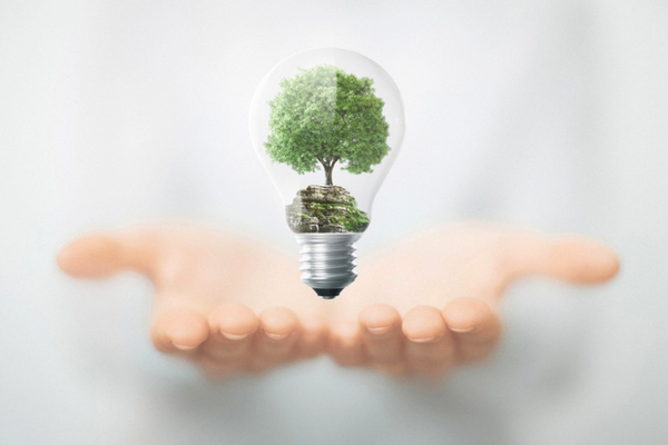 marcas que est�n haciendo algo por el planeta