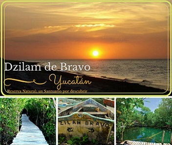 dzilam de bravo, yucat�n