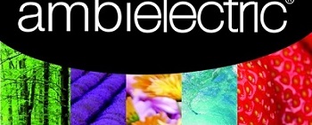 invierte en la franquicia ambielectric