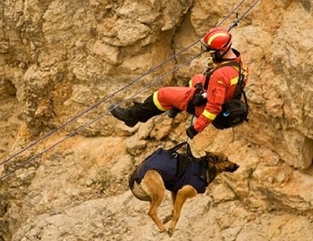 perros pol�cia y de rescate
