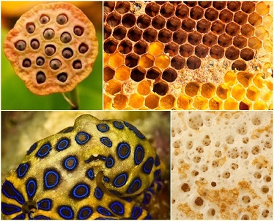 m�s de la tripofobia