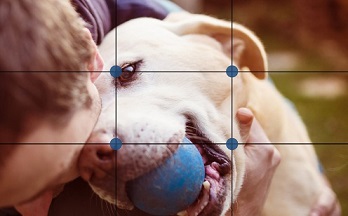 composici�n fotogr�fica